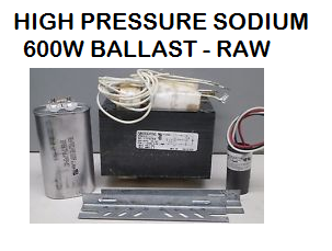High Pressure Sodium Ballast 600 Watts (RAW)