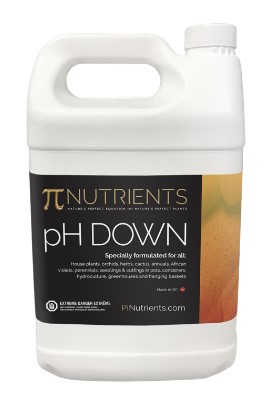pH Down 1L