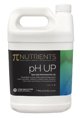 pH Up 1L