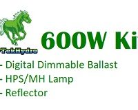 Lighting Complete 600 Watt Kits